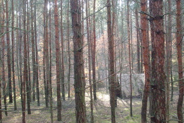  Samsung D70 / D75 / S730 / S750  © przemjarz