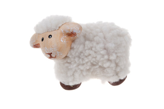 cute sheep toy isolated