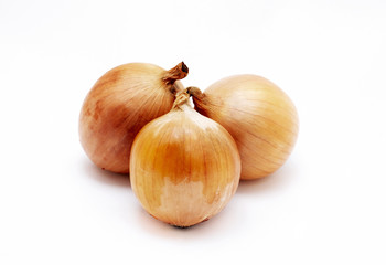 Fototapeta premium onion