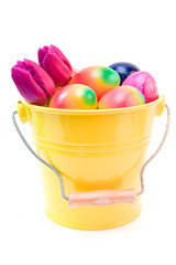colorful easter eggs and purple tulips isolated on white