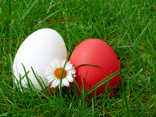 Ostereier auf Wiese