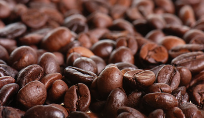Coffee beans in close-up