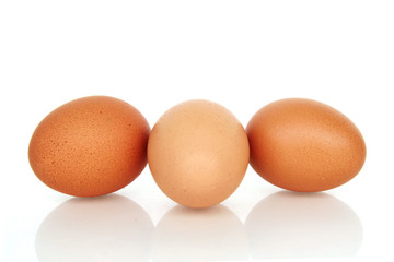 Trois oeufs (frais)