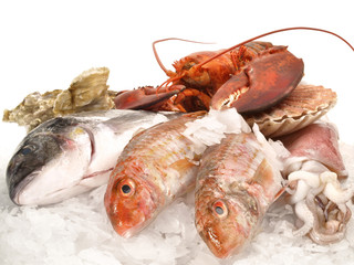 Frischer Fisch mit Hummer und Muscheln auf Eis - Freigestellt © ExQuisine