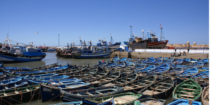 port de pêche d'essaouira