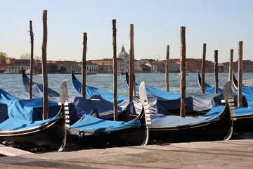 venezia
