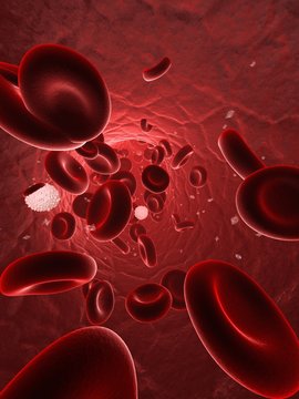 ader mit flie&szlig;endem blut