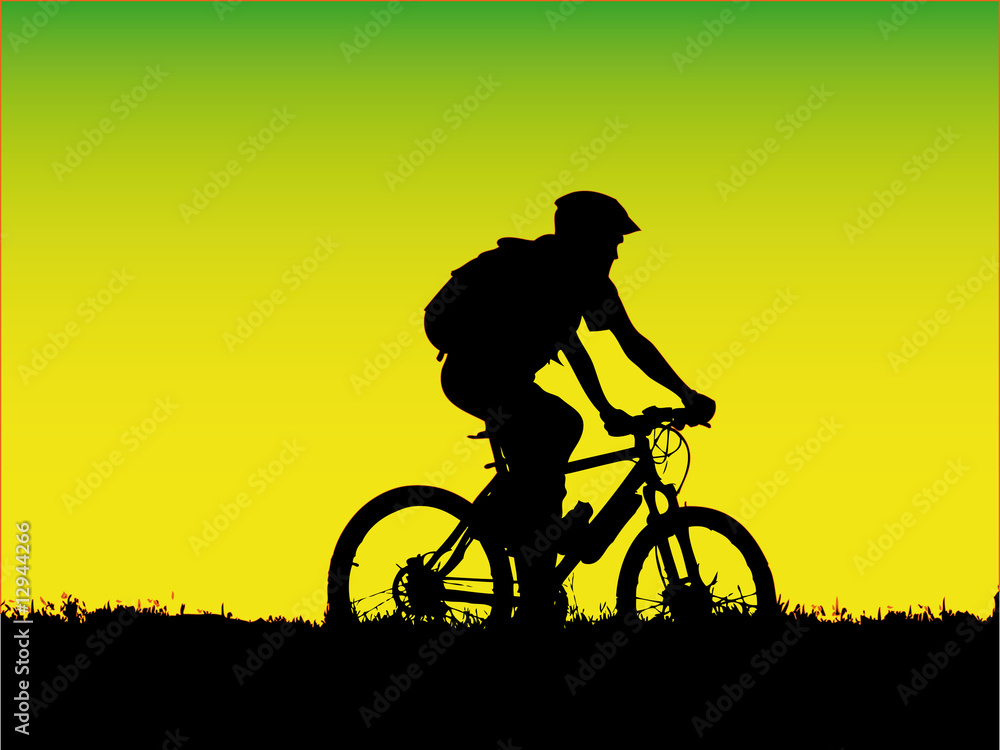 Wall mural vector - mountain biker girl silhouette