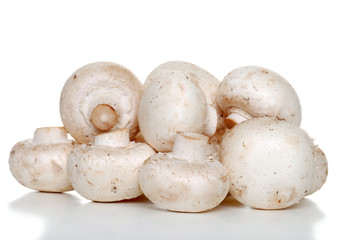 Isolated pile of white mushrooms