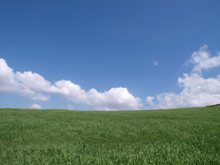 Green Grass Hill