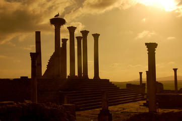 Roman Ruins, Volubilis
