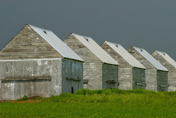 Fototapeta premium Drying Sheds