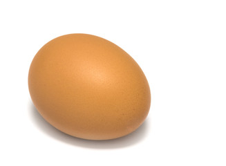 One egg on white background