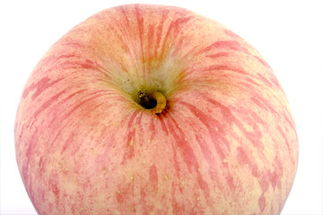 Apple and worm