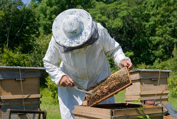 Beekeeper 49