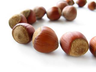 Hazel-nuts