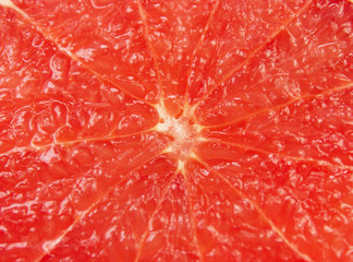 grapefruit macro
