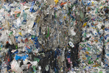 recycle plastic pollution