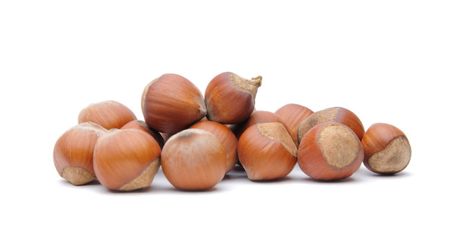 Hazelnuts