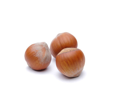 Hazelnuts