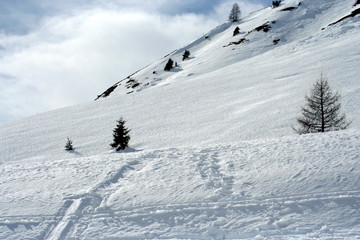 paesaggio invernale - montagna