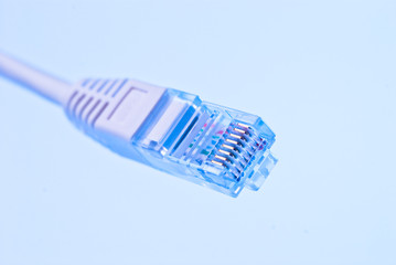 Netzwerkstecker