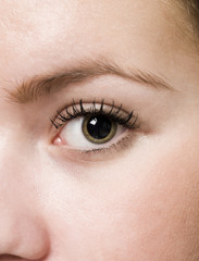 Fototapeta na wymiar Close up of an eye