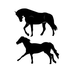 Horse silhouettes