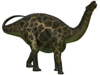 Rucksack Dicraeosaurus-3D Dinosaurier © Andreas Meyer