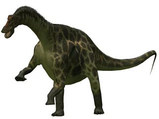 Foto auf Acrylglas Dicraeosaurus-3D Dinosaurier © Andreas Meyer