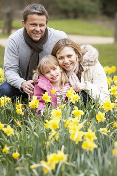 Family Group In Daffodils