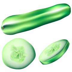 Cucumber vector illustration