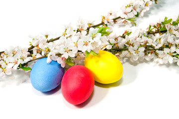 colourful easter eggs