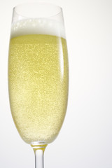 Single Champagne Flute