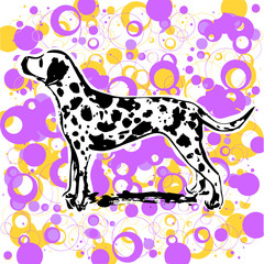 dalmatian design vector