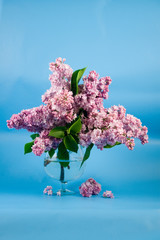 Bouquet of lilac