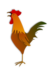 Rooster isolated on white