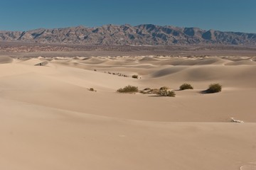 Stovepipe Wells Sand Dunes