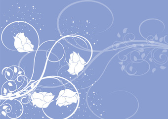 Fototapeta na wymiar floral blanc et bleu