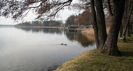 Ufer des Scharmützelsees, Brandenburg