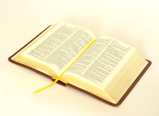 opened bible