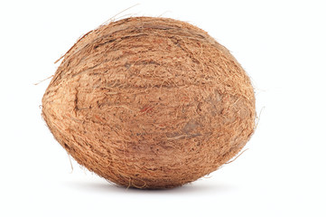 Coconut.
