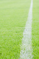 field line