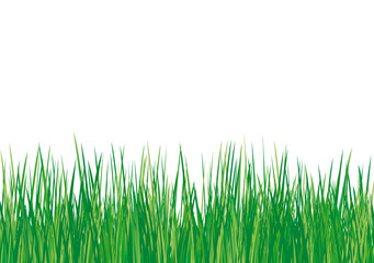 Obraz premium Grüne Wiese - Vector Illustration