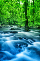 Stream