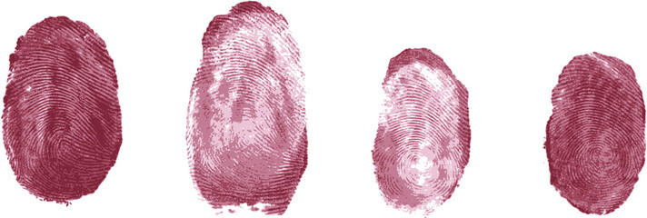 fingerprints