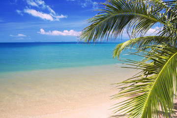 Obraz na płótnie Canvas beautiful tropical beach and sea