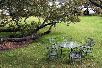 lunch on the green