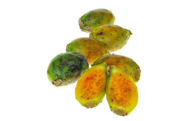 Kaktusfeige - prickly pear 22