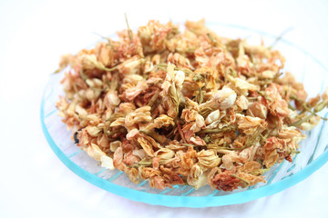 jasmin
